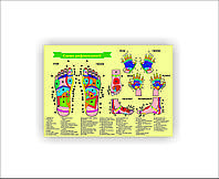 Плакат Vivay Схема рефлексологии 30х40 см Желтый BK, код: 8098695