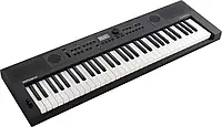 Синтезатор Roland GO:KEYS-5-GT