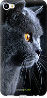 Силиконовый чехол Endorphone Meizu M3x Красивый кот (3038u-633-26985) GT, код: 7501057