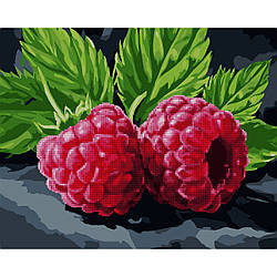 Картина за номерами з алмазною мозаїкою SANTI Соковита малина, 40*50 см.