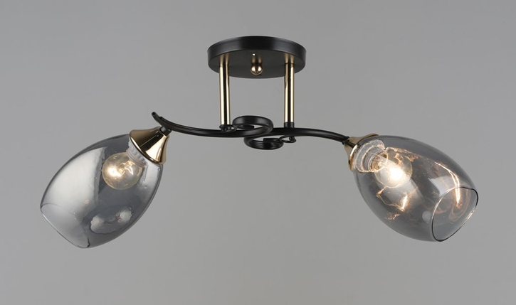 Люстра стельова на два плафони чорна L500*W190*H250 E27, фото 1