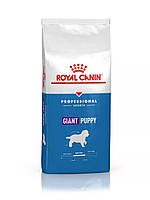 Royal Canin Giant Puppy 17 кг для цуценят гігантських порід до 8 місяців