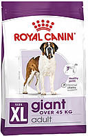 Royal Canin Giant Adult 20 кг для взрослых собак гигантских пород