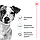 Корм для дорослих собак малих порід ROYAL CANIN MINI ADULT 4 кг, фото 2