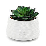 ШТУЧНА РОСЛИНА У ГОРЩИКУ 10 СМ, фото 8