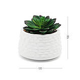 ШТУЧНА РОСЛИНА У ГОРЩИКУ 10 СМ, фото 9