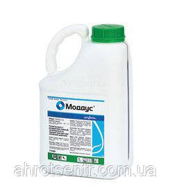 Регулятор росту Моддус 250 EC КЕ 5 л Syngenta Сингента Швейцарія