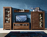 Тумба під телевізор "Герман" RTV2S/6/14 ВМК, фото 2