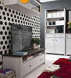 Тумба під телевізор "Паріс" RTV2S ВМК, фото 2