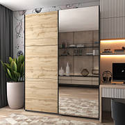 Шафа купе G-Caiser Doros  1 ДСП/1 Дзеркало 180х60х240