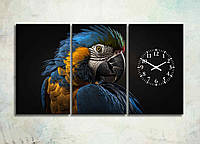Модульна Картина Жовто-синій Папуга на Чорному тлі Декор на стіну з Годинником Картина з папугою Ара