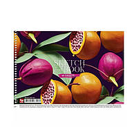 Альбом для малювання фрукти PB-SC-040-566-3 спіраль, 40 аркушів