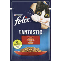 Влажный корм для кошек Purina Felix Fantastic с говядиной в желе 85 г (7613039838624) tm