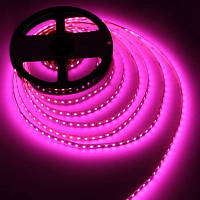 Светодиодная лента LED-STIL 9,6 Вт/м 2835 120 диодов IP33 12 Вольт 100 lm Розовый цвет свечения