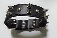 Кожаный ошейник "Lockdog" с шипами и заклепками черный