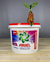 Пральний порошок ARIEL WHITES+COLORS (+Lenor) 10,500 КГ