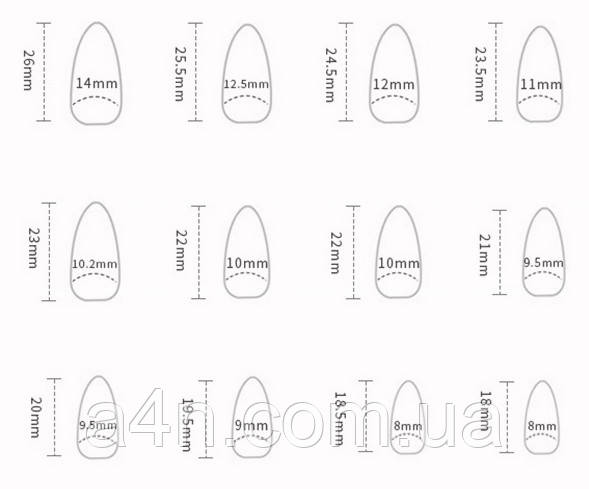 Накладні нігті - Інтернет-магазин A4N Розміри накладних нігтів