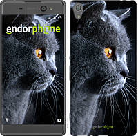 Силиконовый чехол Endorphone на Sony Xperia XA F3112 Красивый кот (3038u-399-26985) GL, код: 1390842