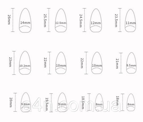 Розміри накладних нігтів