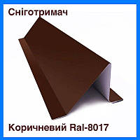 Снігозатримувач на профнастил розмір 100х80 мм, L-2000 м, сталевий з покриттям, колір Коричневий Мат RAL-8017