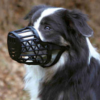 Намордник для собак Trixie пластиковый для пуделя M 20 см (4011905176031) h