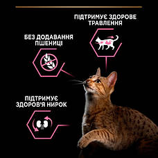 PRO PLAN Delicate сухий корм для котів із чутливим травленням з індичкою 400 гр, фото 5