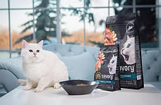 Savory Kitten Сухий корм для кошенят зі свіжим мясом індички та куркою 400 г, фото 5