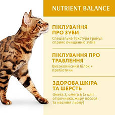 Optimeal Повно раціональний сухий корм для дорослих кішок курка 1,5 кг, фото 4
