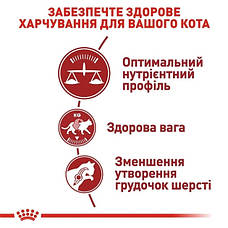 Royal Canin Fit 32 (Роял Канін Фіт) для кішок, що бувають на вулиці 4 кг, фото 6
