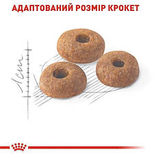 Royal Canin Fit 32 (Роял Канін Фіт) для кішок, що бувають на вулиці 4 кг, фото 5