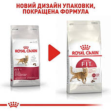 Royal Canin Fit 32 (Роял Канін Фіт) для кішок, що бувають на вулиці 4 кг, фото 3