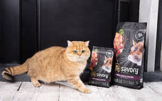 Savory Adult Cat Сухий корм для кастрованих котів зі свіжим мясом ягняти і куркою 2 кг, фото 5