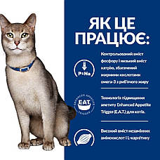 Hills PD Feline KD сухий корм при хронічних захворюваннях нирок та серця у кішок 1,5 кг, фото 4