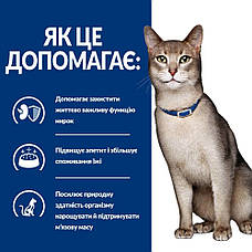 Hills PD Feline KD сухий корм при хронічних захворюваннях нирок та серця у кішок 1,5 кг, фото 6