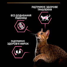 PRO PLAN Adult 1+ Delicate Digestion сухий корм для котів із чутливим травленням з ягням 3 кг, фото 5