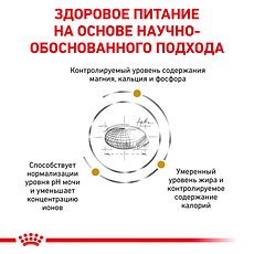 Royal Canin Urinary Moderate Calorie CAT сухий корм для котів 400г, фото 5