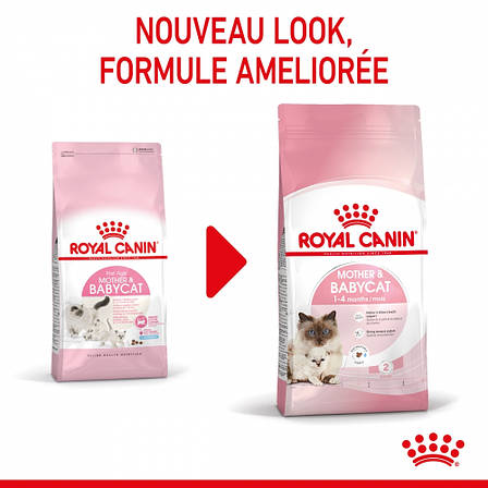 Royal Canin Mother and Babycat 34 (Роял Канін Мазер енд Бебікет) для кошенят від 1 до 4 місяців 10 кг, фото 3