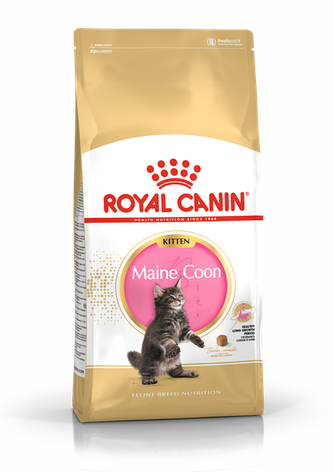 Royal Canin Kitten Maincoon для кошенят Мейн-кун від 4-15 міс 2 кг, фото 1