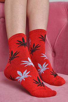 Шкарпетки жіночі демісезонні червоного кольору р.36-41 170357S