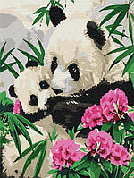 Картина по номерам "Мама панда с детенышем" 30x40 3v1 Рисование Живопись Раскраски (Животные, птицы и рыбы)