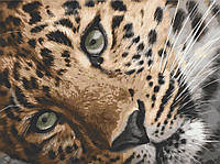 Картина по номерам. Art Craft "Леопард" 40х50 см 11635-AC ar