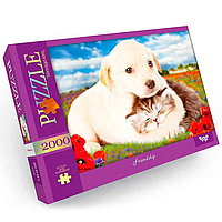 Пазл "Friendship" Danko Toys C2000-01-09, 2000 ел. ar