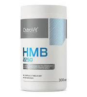 HMB 2250 OstroVit, 300 капсул