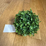 Штучна рослина кущ, Самшит, зелений, 13 см, пластик (960194), фото 3