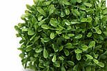 Штучна рослина кущ, Самшит, зелений, 13 см, пластик (960194), фото 2