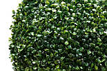 Штучна рослина кущ, Самшит, темно-зелений, 27 см, пластик (960286), фото 3