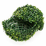 Штучна рослина кущ, Самшит, темно-зелений, 27 см, пластик (960286), фото 2