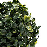 Штучна рослина кущ, Самшит, темно-зелений, 13 см, пластик (960316), фото 2