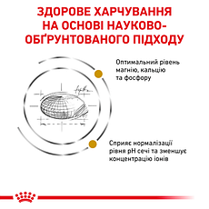 Royal Canin Urinary (Роял Канін Урінарі) для кішок старше 6 місяців, при лікуванні сечокамяної хвороби 0,4 кг, фото 5