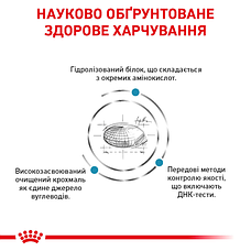 Royal Canin Hypoallergenic DR25 Feline сухий корм для кішок (Роял Канін гіпоалергенний Фелін) 2,5 кг, фото 4
